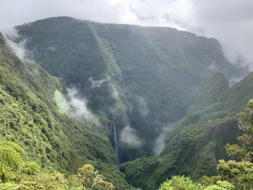 Trou de Fer (Bébour rainforest)