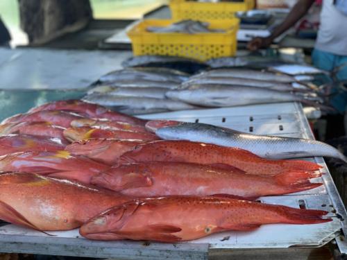 Local fish market