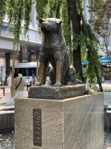 Hachiko Statue