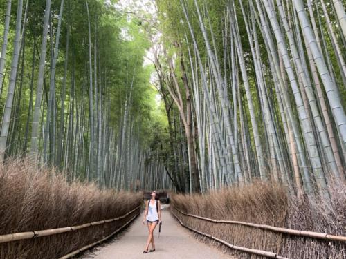 Arashiyama Bamboo Forest