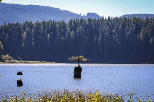 Fairy Lake